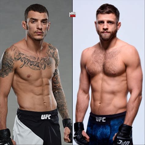 Mixed Martial Arts Forum .